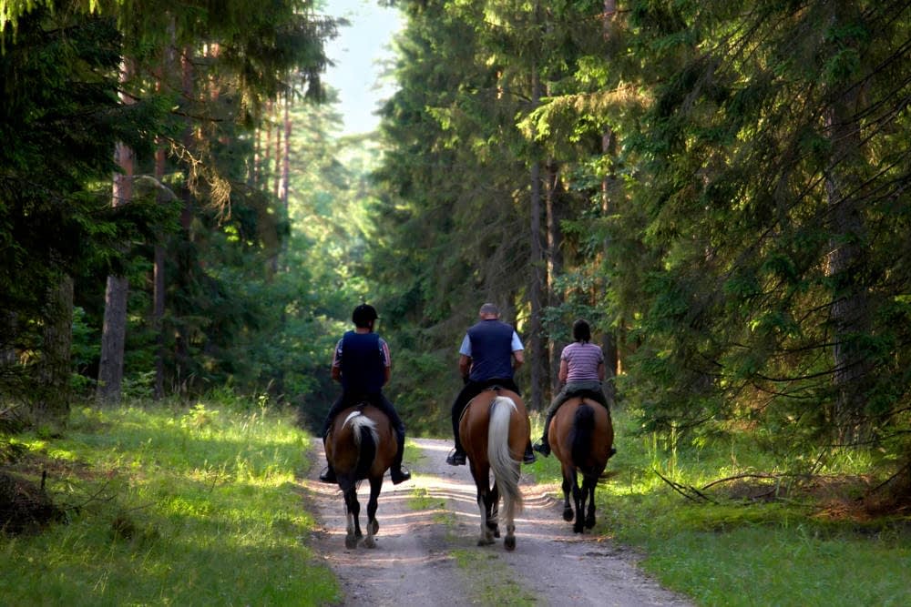 Rent Pretel Calonge Girona Montar a Caballo